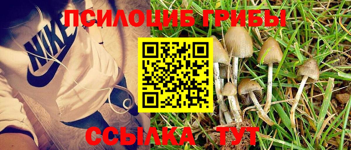 Псилоцибиновые грибы Magic Shrooms Курск
