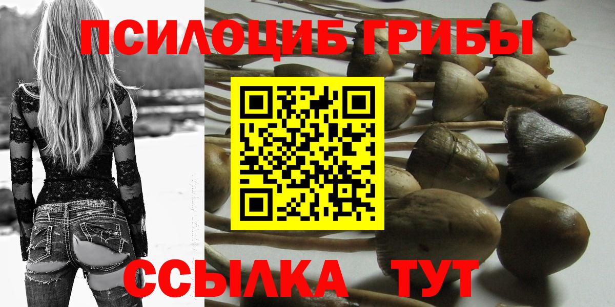 Галлюциногенные грибы MAGIC MUSHROOMS  Вход с VPN  купить наркоту  Псилоцибиновые грибы Psilocybe  Курск 